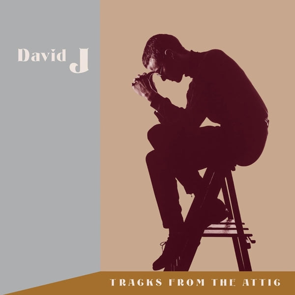|  Vinyl LP | David J - Tracks From the Attic (6 LPs) | Records on Vinyl