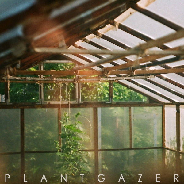 |  Vinyl LP | Show Me a Dinosaur - Plantgazer (LP) | Records on Vinyl