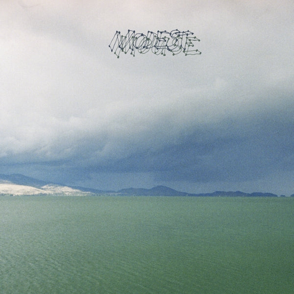 |  Vinyl LP | Modest Mouse - The Fruit That Ate Itself (LP) | Records on Vinyl