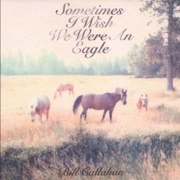 |   | Bill Callahan - Sometimes I Wish We Were (LP) | Records on Vinyl