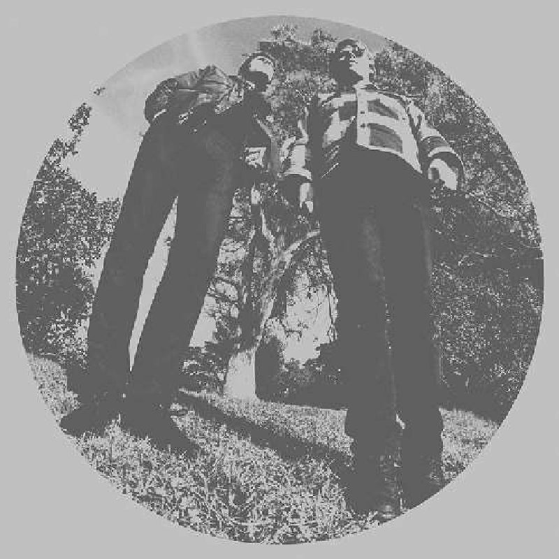 |  Vinyl LP | Ty and White Fence Segall - Hair (LP) | Records on Vinyl