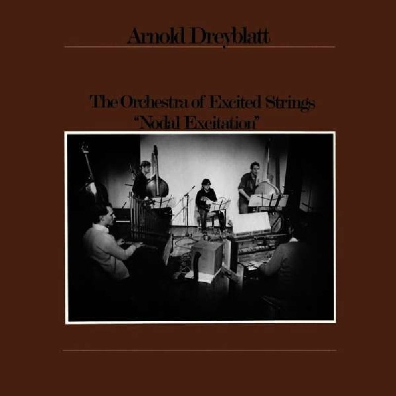 |  Vinyl LP | Arnold Dreyblatt - Nodal Excitation (LP) | Records on Vinyl