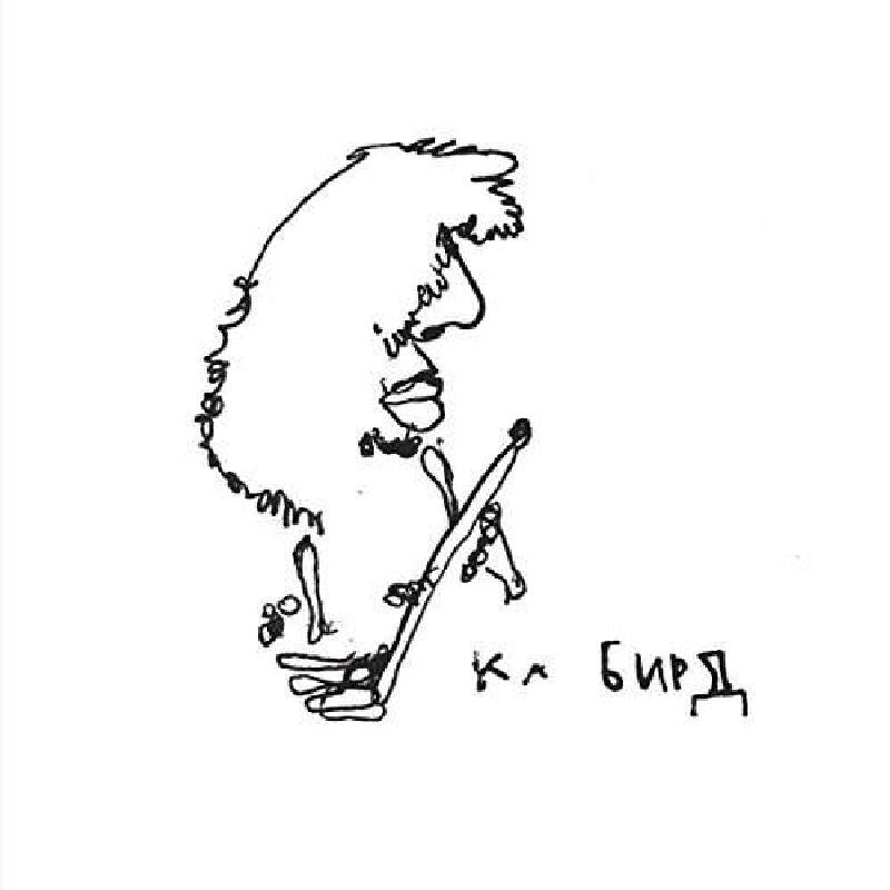 |   | Ka Baird - Sapropelic Pycnic (LP) | Records on Vinyl