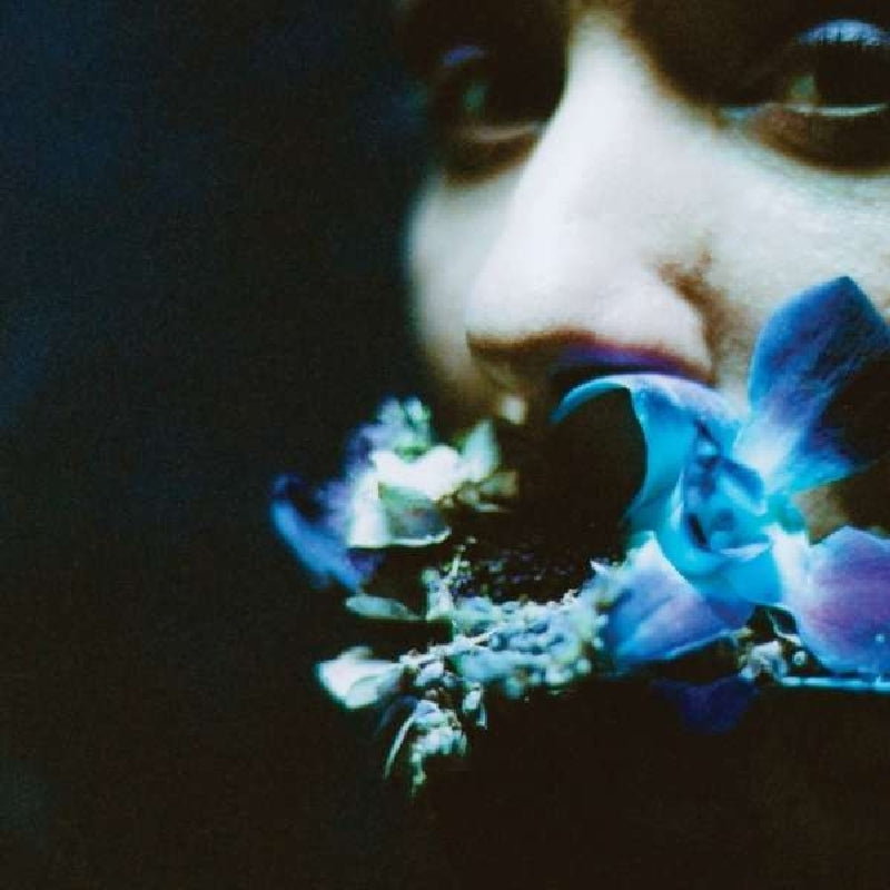 |   | Circuit Des Yeux - Reaching For Indigo (LP) | Records on Vinyl