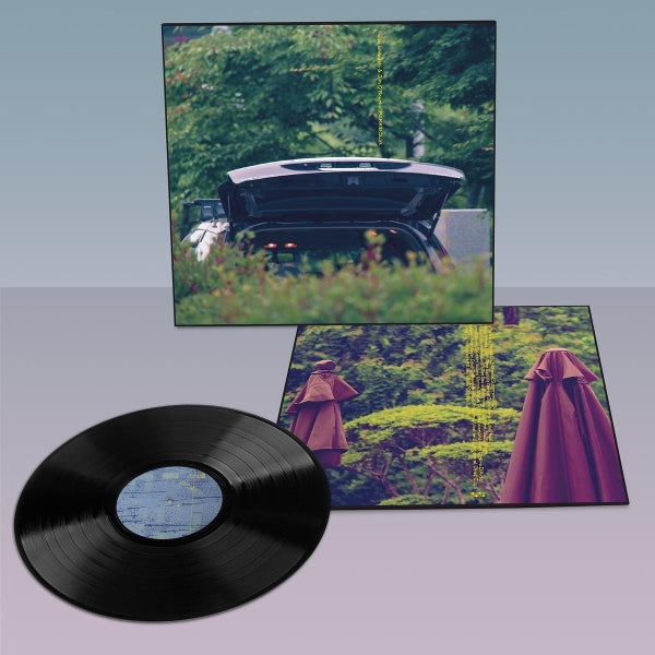 |  Vinyl LP | Eiko & Jim O'Rourke Ishibashi - Pareidolia (LP) | Records on Vinyl