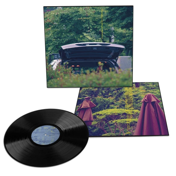 |  Vinyl LP | Eiko & Jim O'Rourke Ishibashi - Pareidolia (LP) | Records on Vinyl