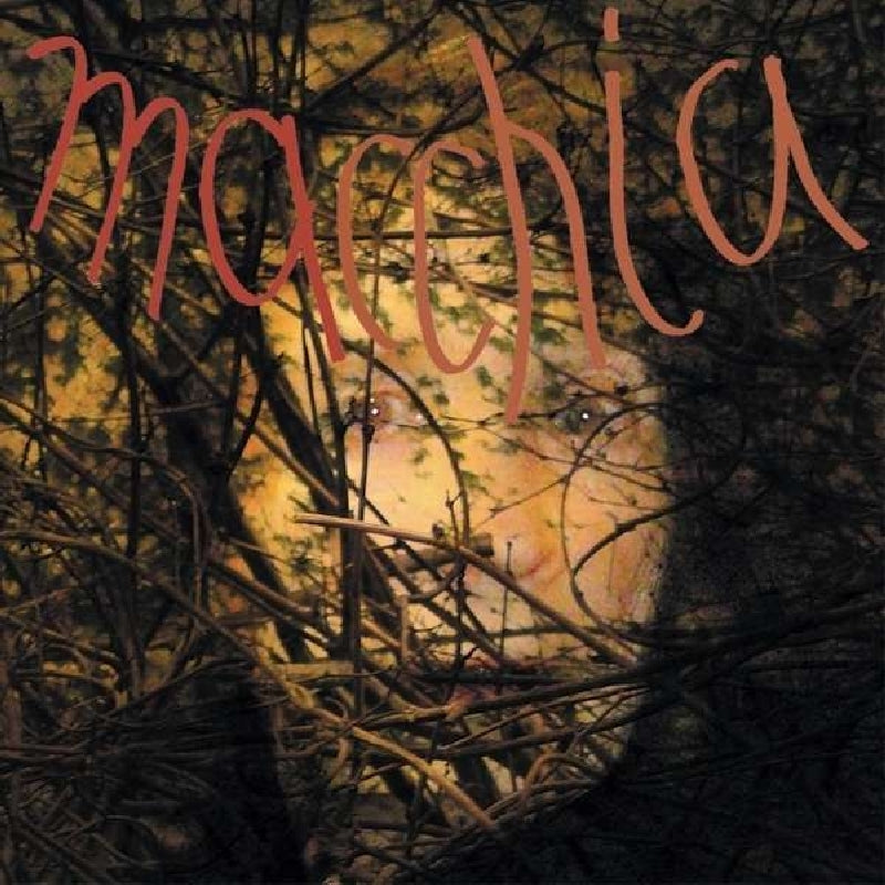 |   | Limpe/Christoph Heemann/Timo Van Luijk Fuchs - Macchia Forest (LP) | Records on Vinyl