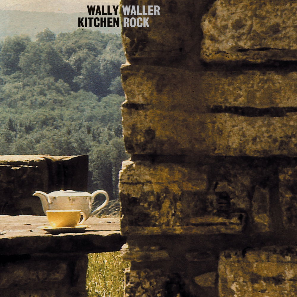 |  Vinyl LP | Wally Waller - Kitchen Rock (LP) | Records on Vinyl