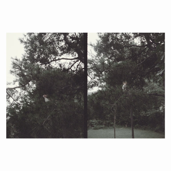 |  Vinyl LP | Okkyung Lee - Just Like Any Other Day (LP) | Records on Vinyl