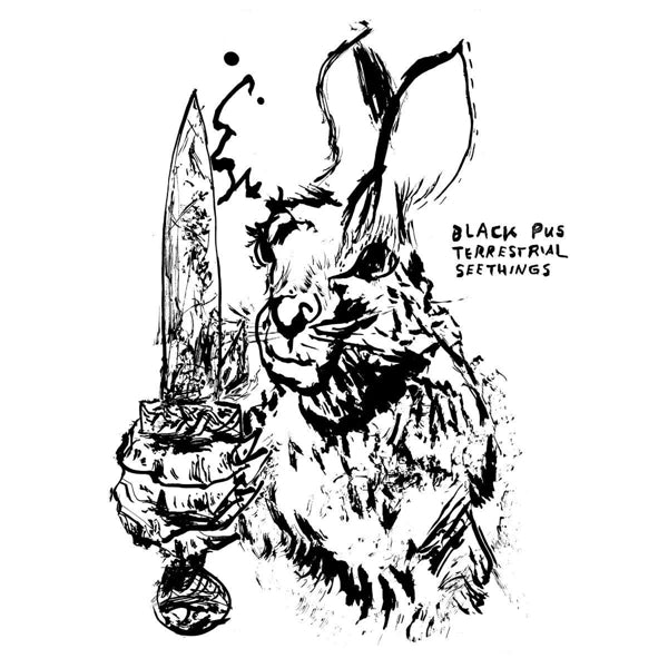 |  Vinyl LP | Black Pus - Terrastrial Seethings (LP) | Records on Vinyl