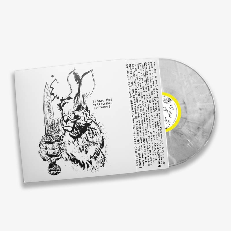 |  Vinyl LP | Black Pus - Terrastrial Seethings (LP) | Records on Vinyl