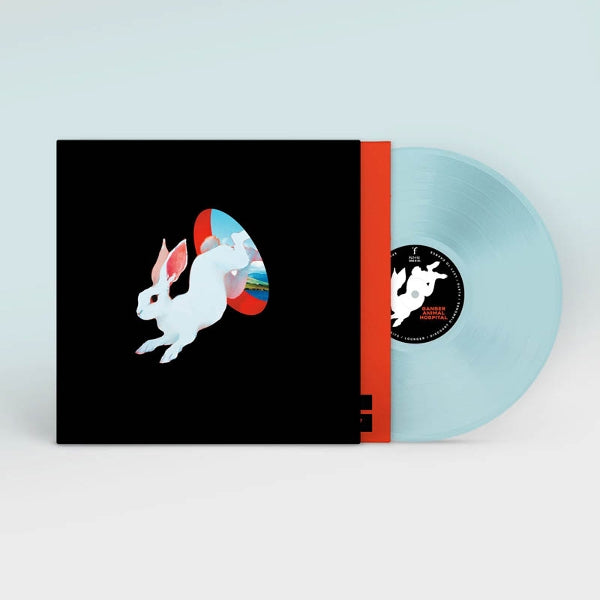 |  Vinyl LP | Ganser - Animal Hospital (LP) | Records on Vinyl