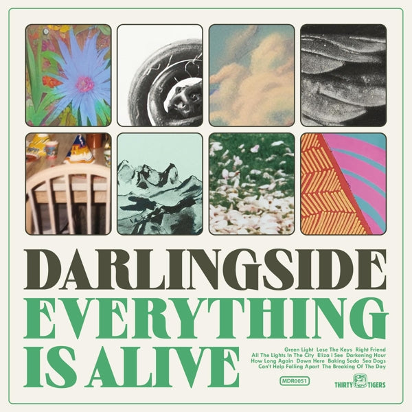 |  Vinyl LP | Darlingside - Everything is Alive (LP) | Records on Vinyl