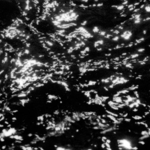 |  Vinyl LP | Grouper - Aia: Dream Loss (LP) | Records on Vinyl