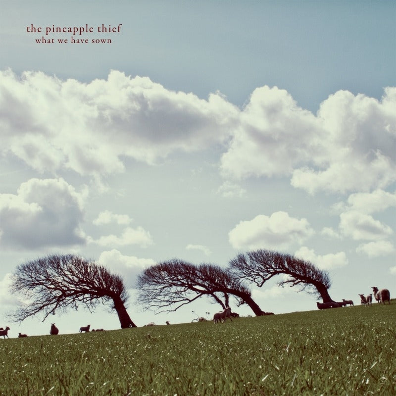 |  Vinyl LP | Pineapple Thief - What We Have Sown (2 LPs) | Records on Vinyl