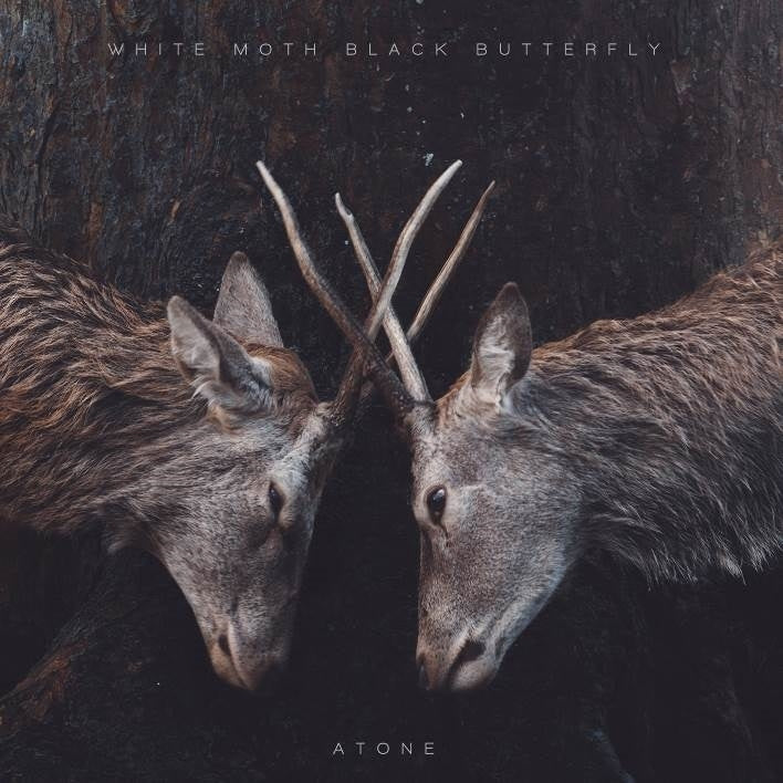|  Vinyl LP | White Moth Black Butterfly - Atone (LP) | Records on Vinyl