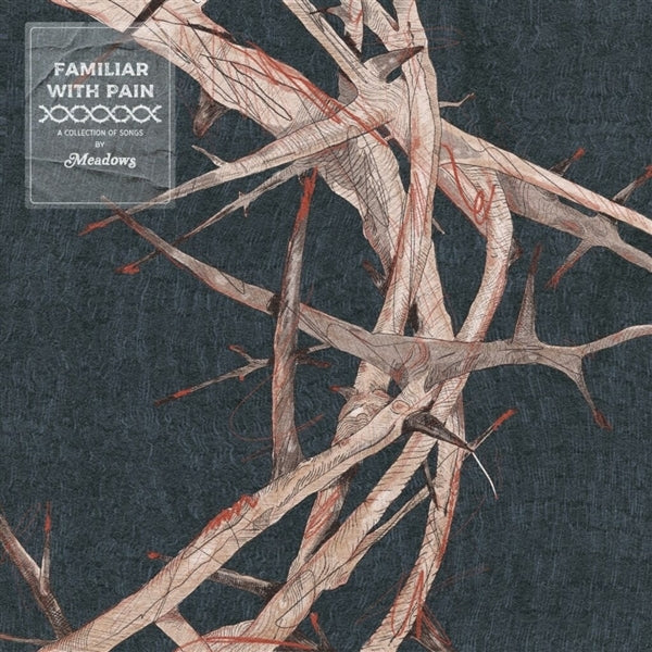 |  Vinyl LP | Meadows - Familiar With Pain (LP) | Records on Vinyl