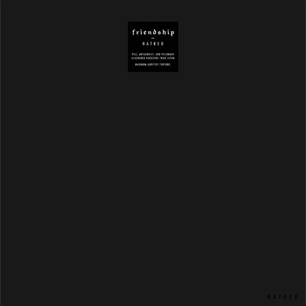 |  Vinyl LP | Friendship - Hatred (LP) | Records on Vinyl