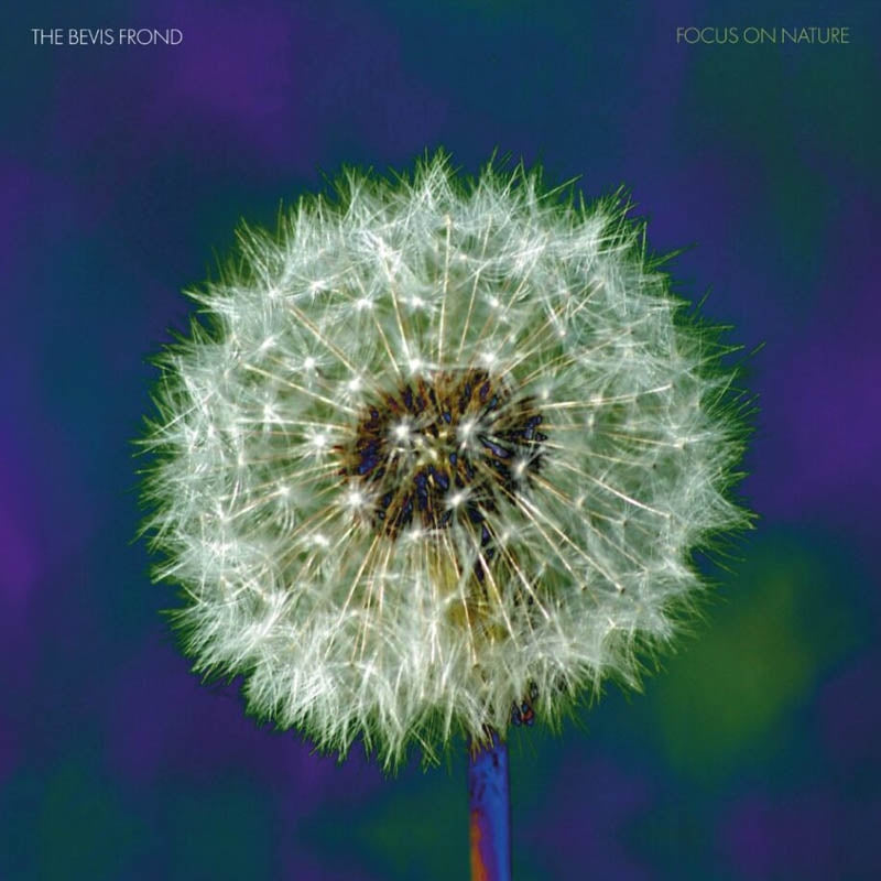 |  Vinyl LP | Bevis Frond - Focus On Nature (2 LPs) | Records on Vinyl