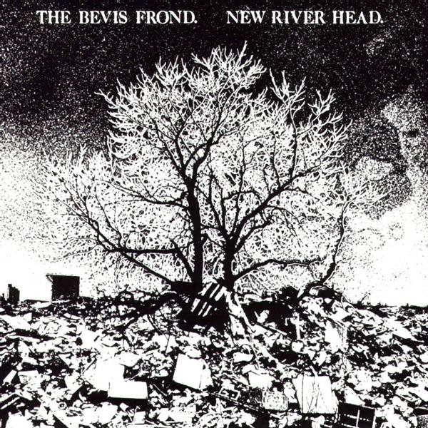 |  Vinyl LP | Bevis Frond - New River Head (2 LPs) | Records on Vinyl