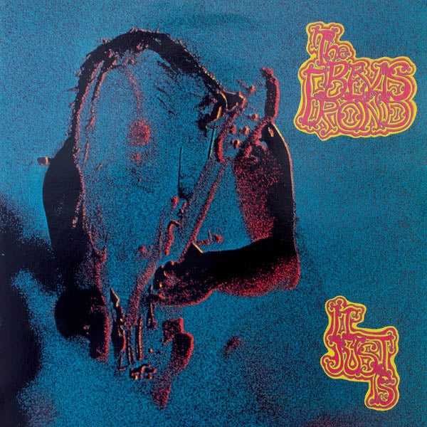 |  Vinyl LP | Bevis Frond - It Just is (2 LPs) | Records on Vinyl