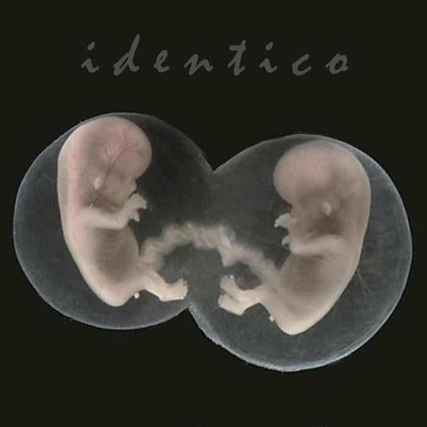 |  7" Single | Sad Lovers and Giants - Identico (Single) | Records on Vinyl