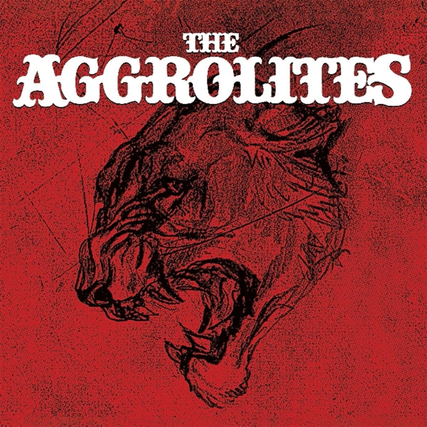 |  Vinyl LP | the Aggrolites - Aggrolites (2 LPs) | Records on Vinyl