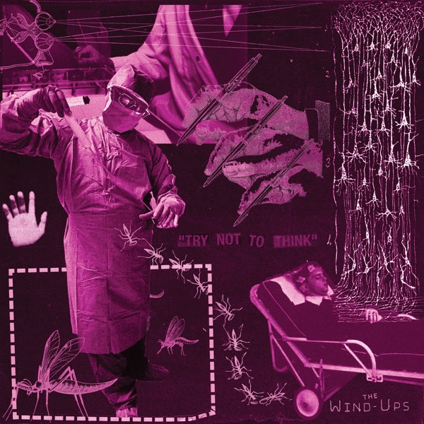 |   | Wind-Ups - Try Not To Think (LP) | Records on Vinyl
