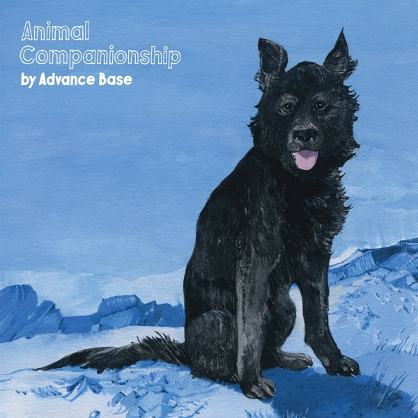 |   | Advance Base - Animal Companionship (2 LPs) | Records on Vinyl