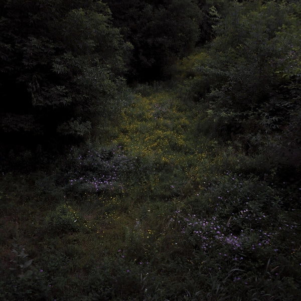 |  Vinyl LP | Fireworks - Higher Lonely Power (LP) | Records on Vinyl