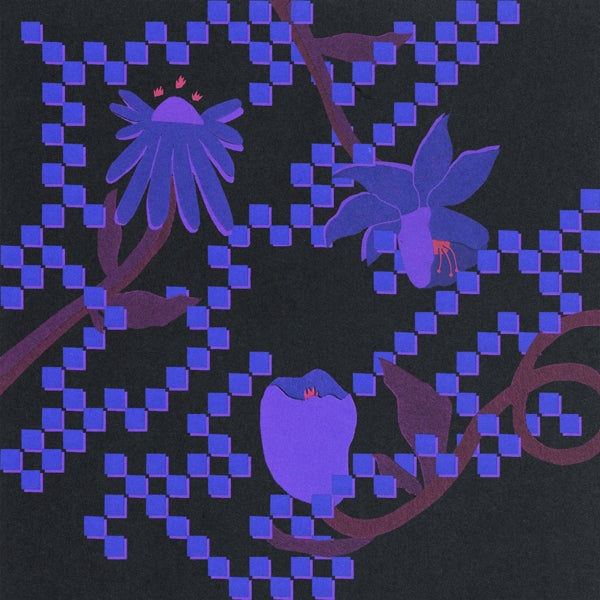 |  Vinyl LP | Trace Mountains - Into the Burning Blue (LP) | Records on Vinyl