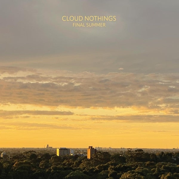 |  Vinyl LP | Cloud Nothings - Final Summer (LP) | Records on Vinyl