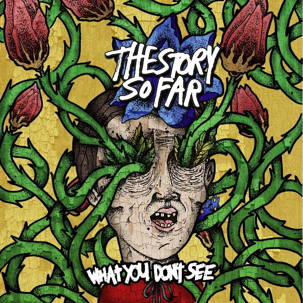 |  Vinyl LP | Story So Far - What You Don't See (LP) | Records on Vinyl
