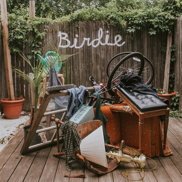 |  Vinyl LP | Dog Slaughter Beach - Birdie (LP) | Records on Vinyl