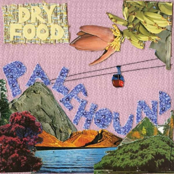 |   | Palehound - Dry Food (LP) | Records on Vinyl