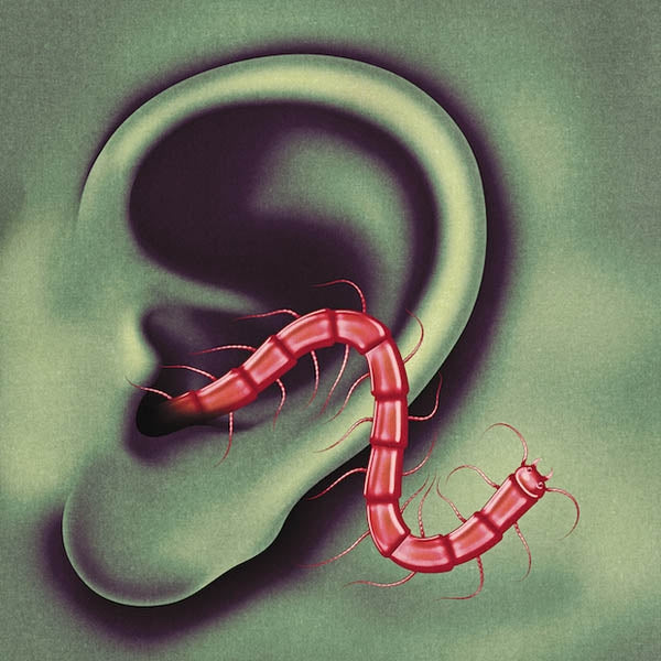 |  Vinyl LP | Thee Oh Sees - An Odd Entrances (LP) | Records on Vinyl