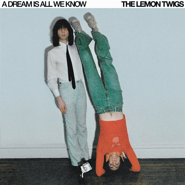 |  Vinyl LP | Lemon Twigs - A Dream is All We Know (LP) | Records on Vinyl