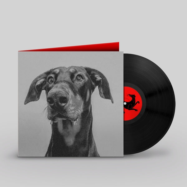 |   | Big Special - Postindustrial Hometown Blues (LP) | Records on Vinyl