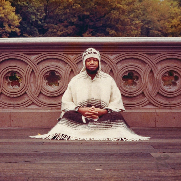 |  Vinyl LP | Laraaji - Segue To Infinity (4 LPs) | Records on Vinyl
