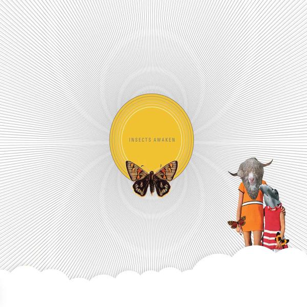 |  Vinyl LP | Death Sentence: Panda - Insects Awaken (LP) | Records on Vinyl