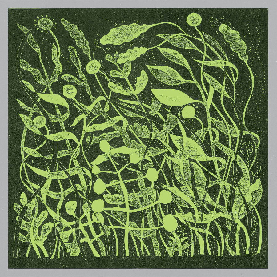 |  Vinyl LP | Kirk Barley - Lux (LP) | Records on Vinyl