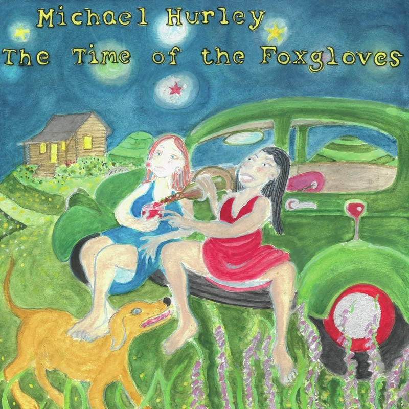 |  Vinyl LP | Michael Hurley - The Time of the Foxgloves (LP) | Records on Vinyl