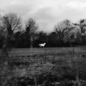|  Vinyl LP | Flatsound - When You Run Away, Do You Close Your Eyes (LP) | Records on Vinyl