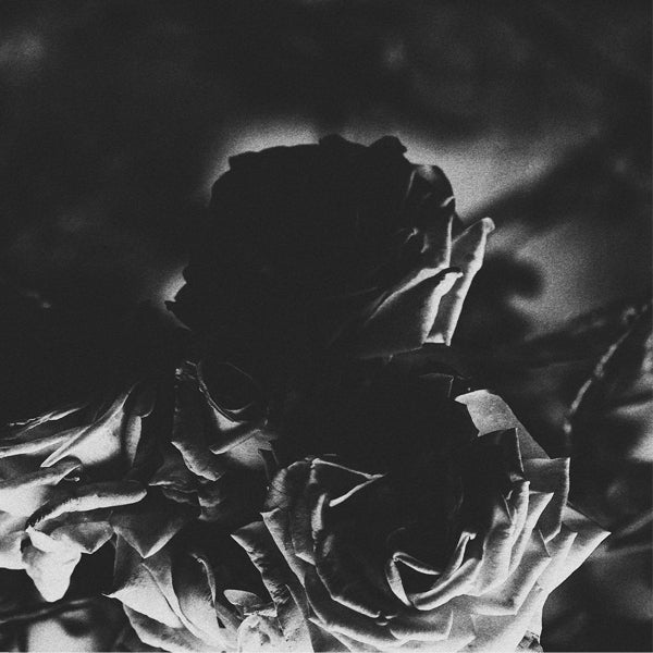 |   | Hexis & Telos - Split (Single) | Records on Vinyl