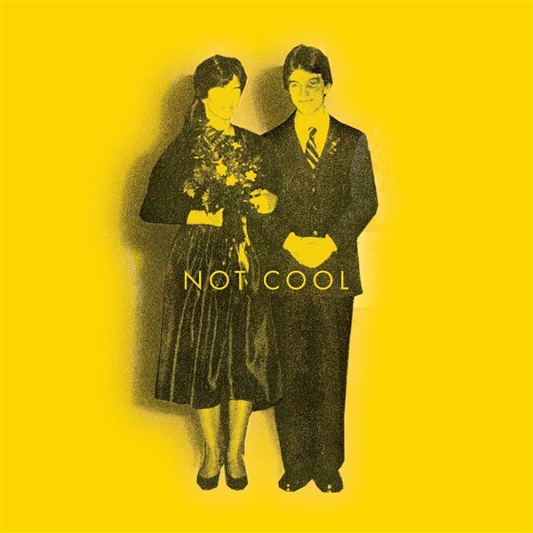 |  Vinyl LP | Tim Easton - Not Cool (LP) | Records on Vinyl