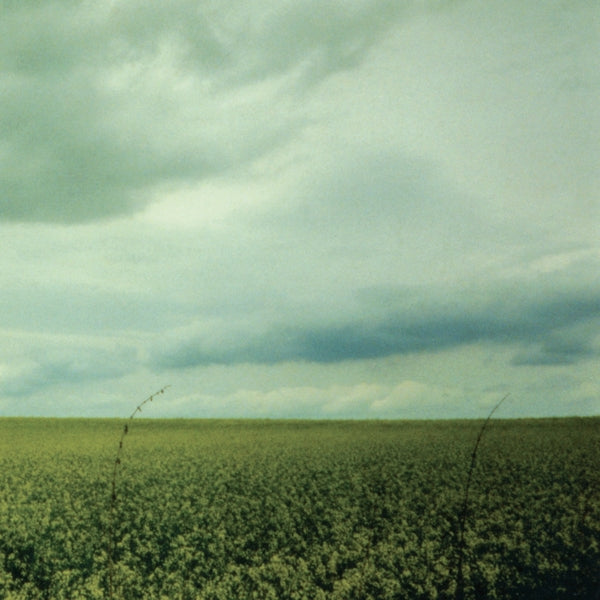 |   | Antarctica - 23:03 (LP) | Records on Vinyl