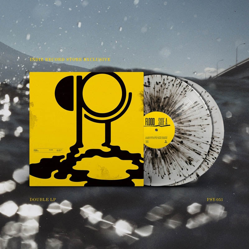 |  Vinyl LP | Hippo Campus - Flood (2 LPs) | Records on Vinyl