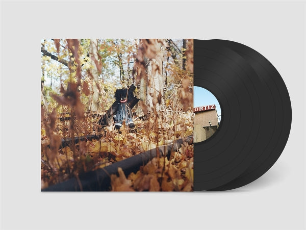 |  Vinyl LP | Billy Woods - Golliwog (2 LPs) | Records on Vinyl