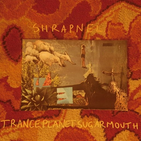 |  Vinyl LP | Shrapnel - Tranceplanetsugarmouth (LP) | Records on Vinyl