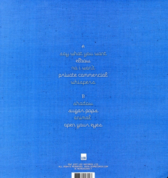 |  Vinyl LP | Andrew Hung - Realisationship (LP) | Records on Vinyl